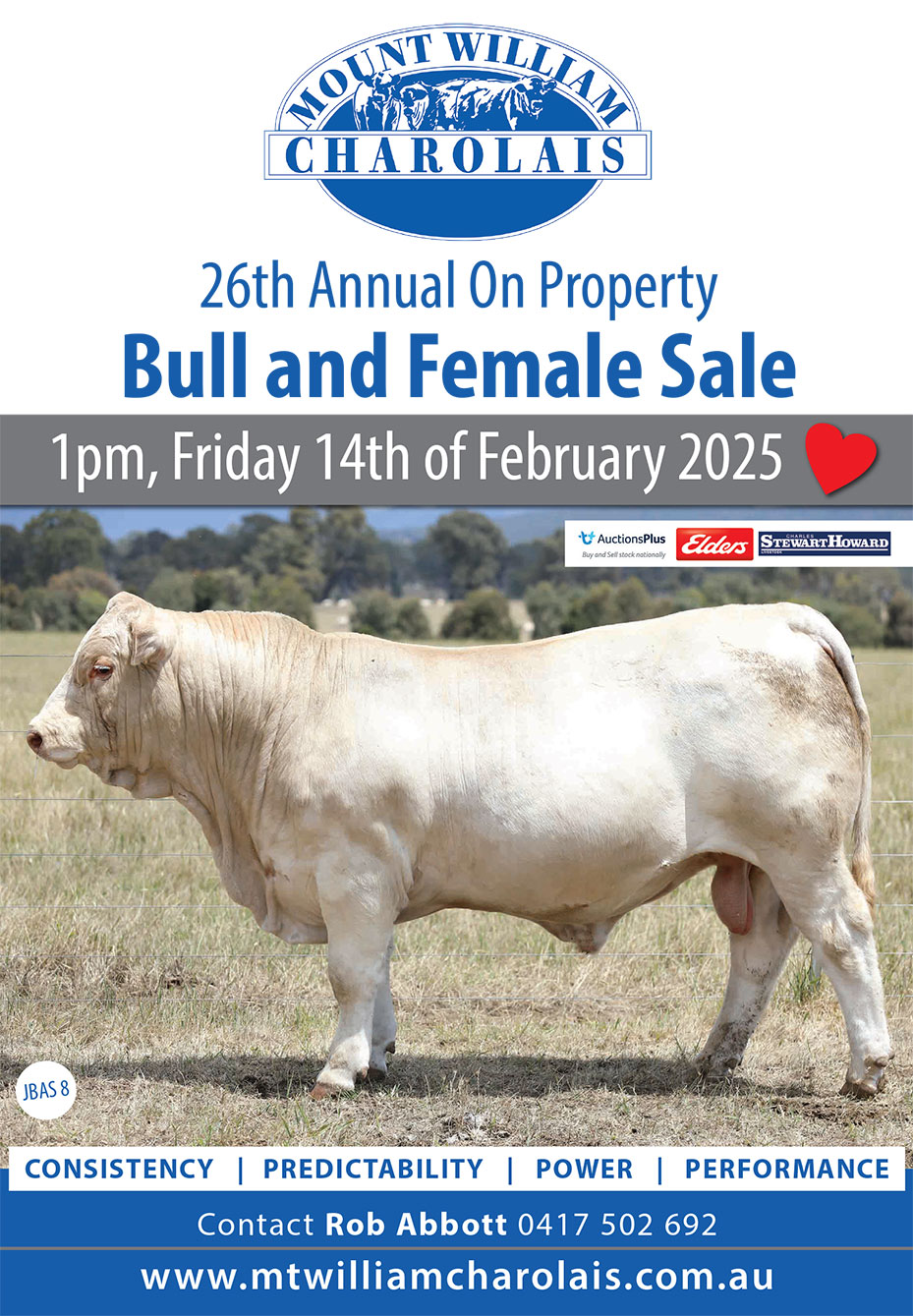 Mt William Charolais Annual Sale 2024